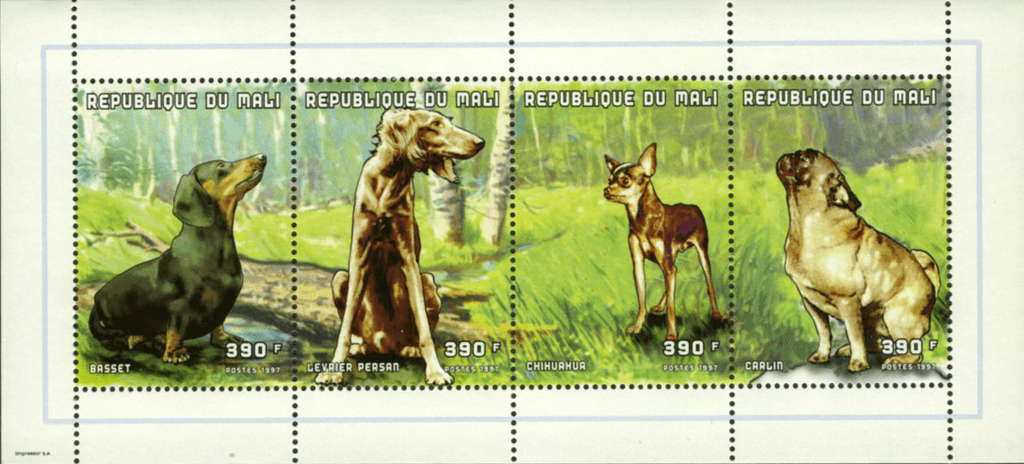 Dog Breeds (2687)