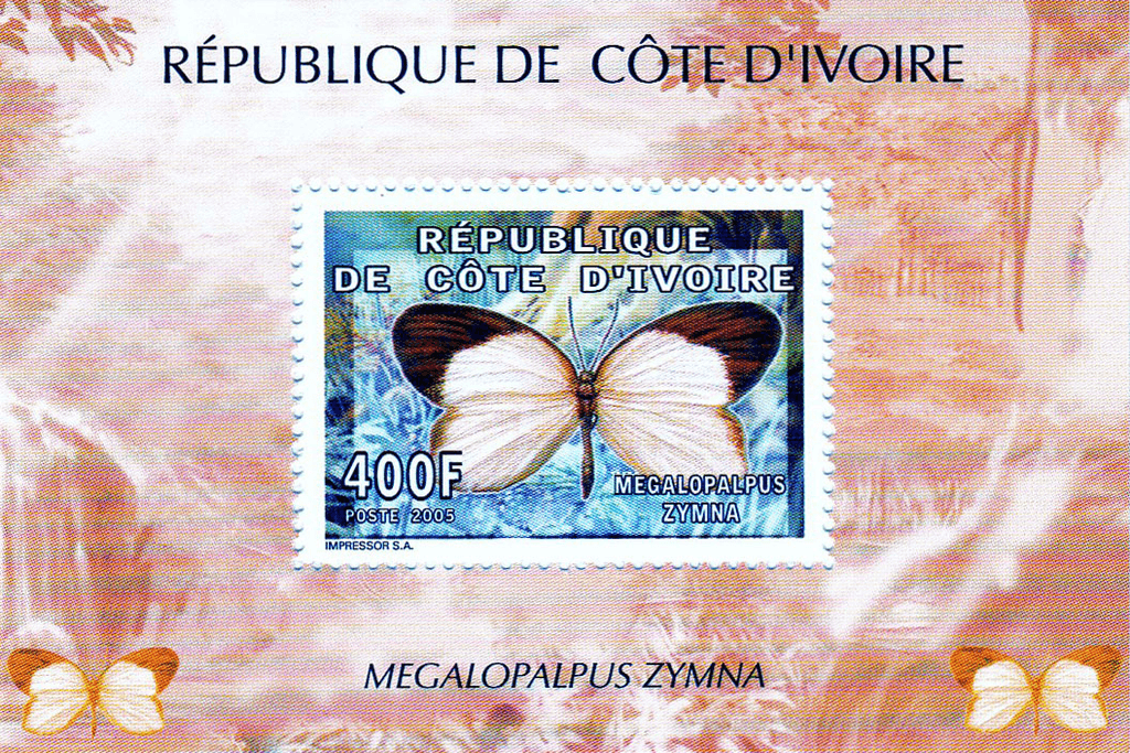 Butterflies  2005