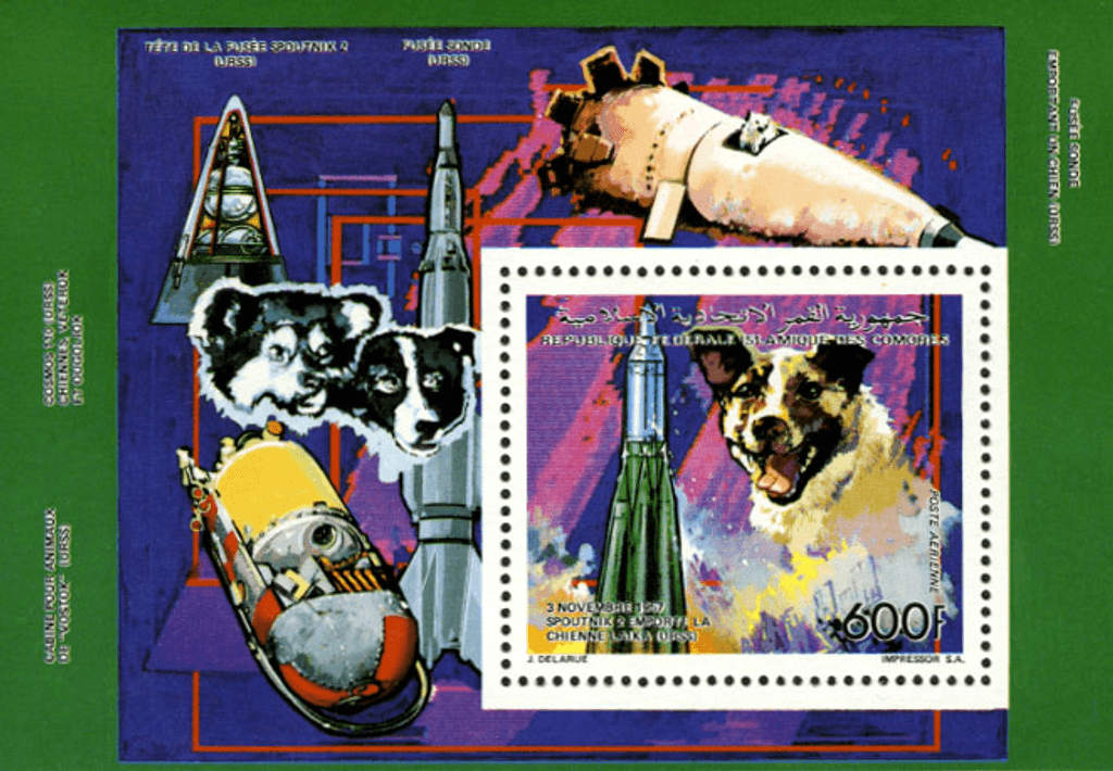 Space & animals