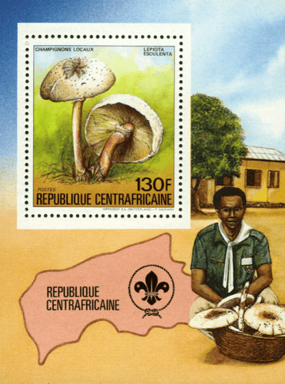 Local Mushrooms 1984