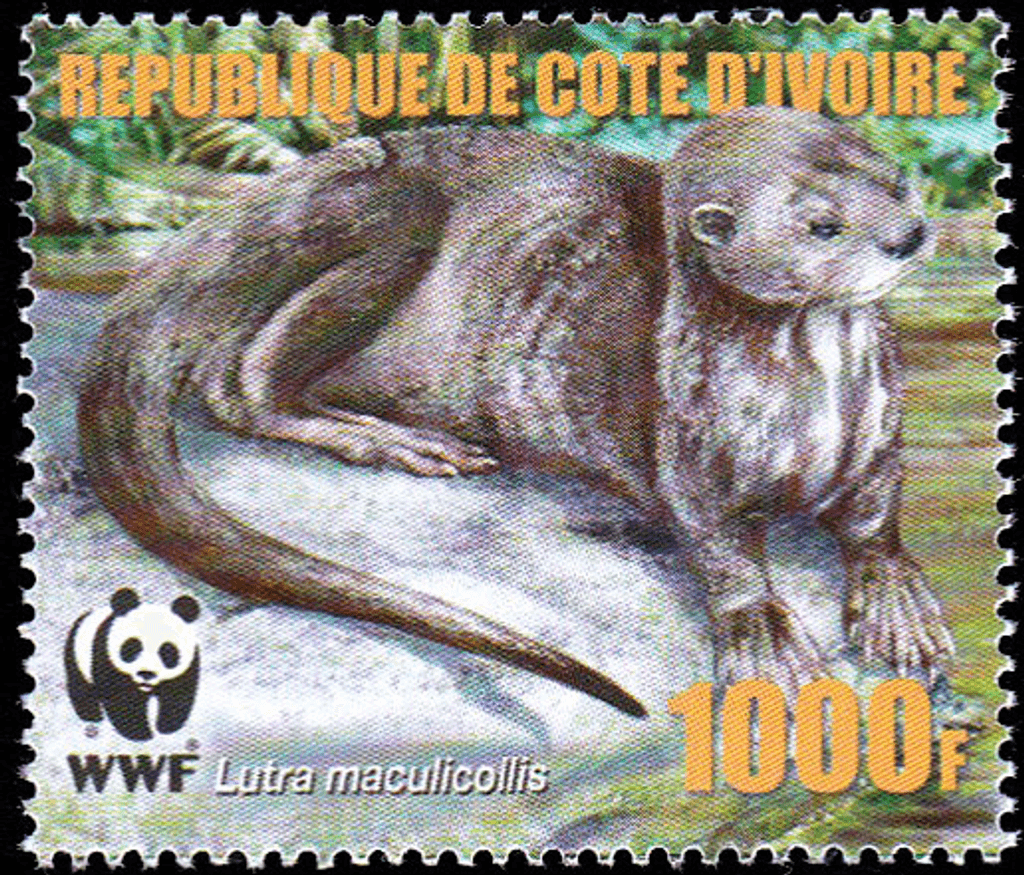 Worldwide Conservation 2005  (Otters)