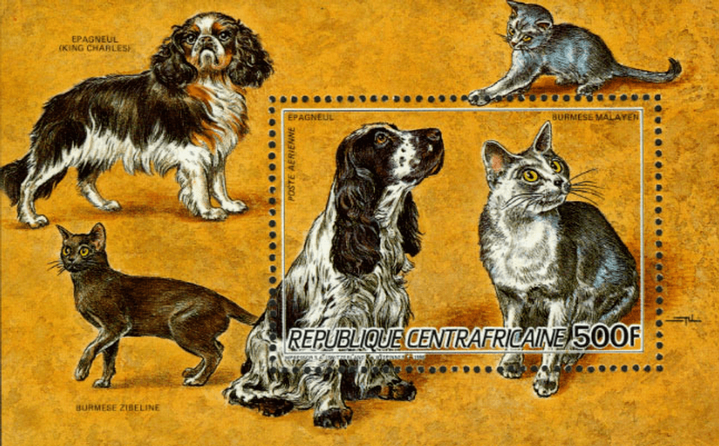 Dogs and Cat Breeds 1986