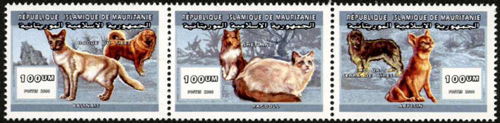 Cat & dog breeds