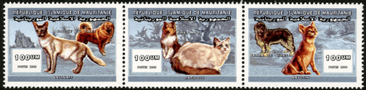 Cat & dog breeds