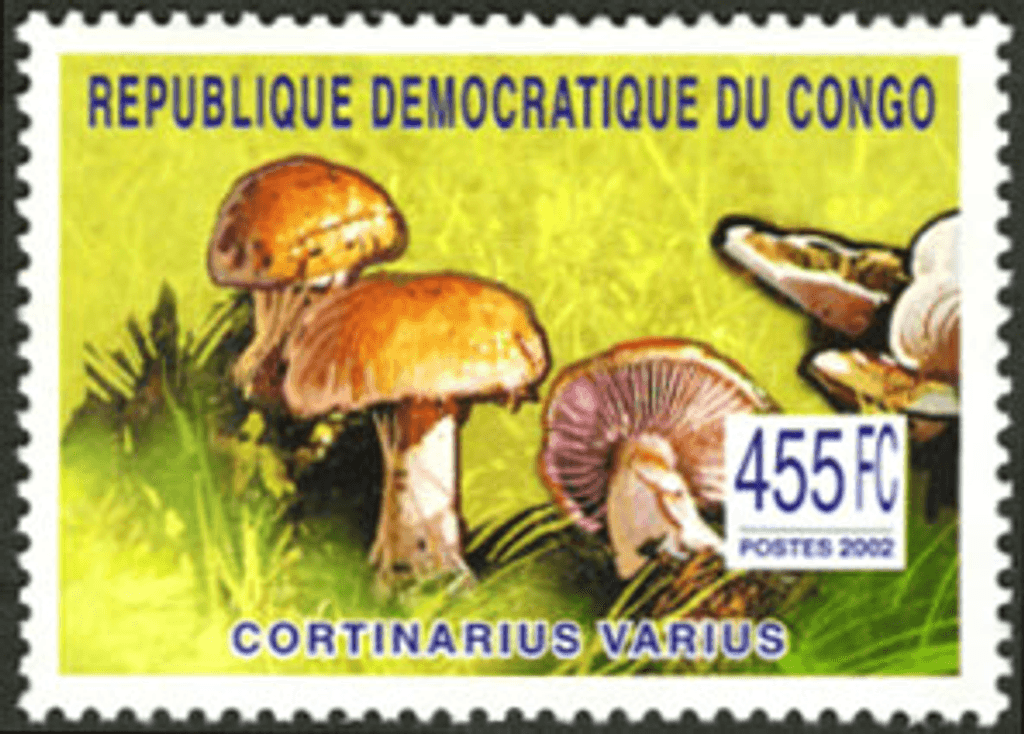 Mushrooms