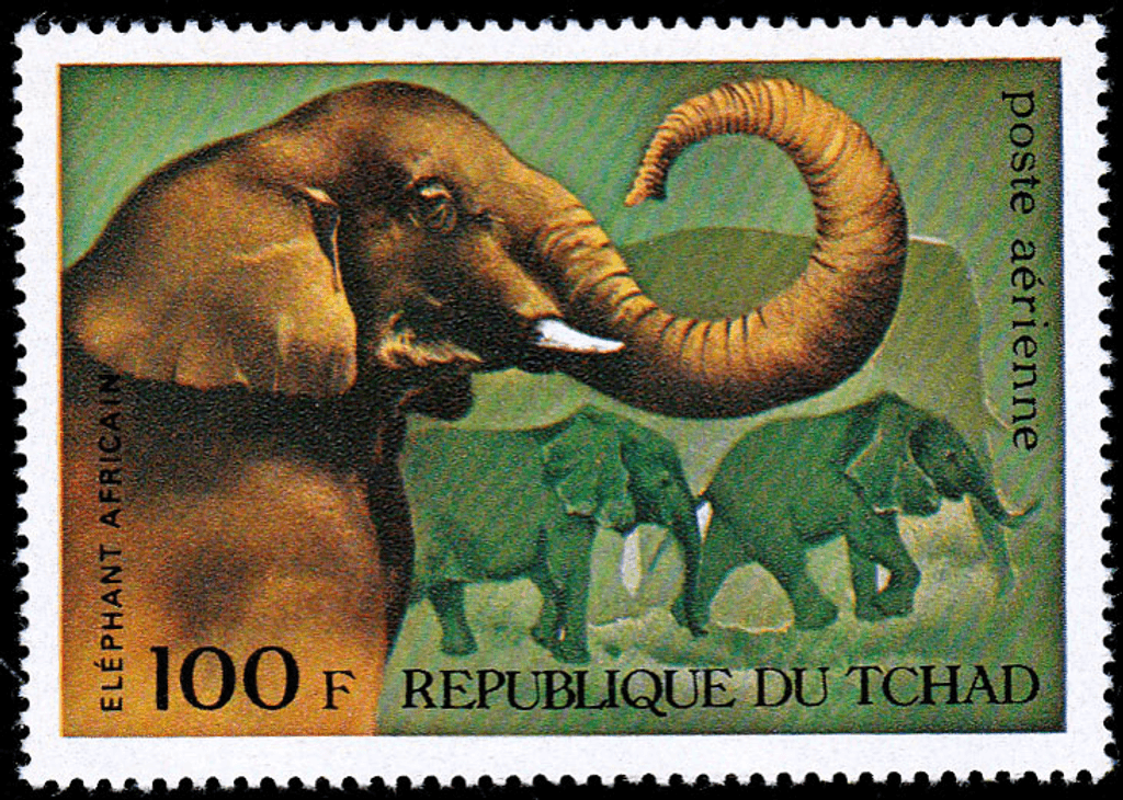Mammals  1972