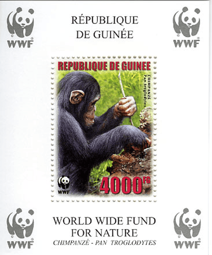 Singes (Chimpanzé WWF)