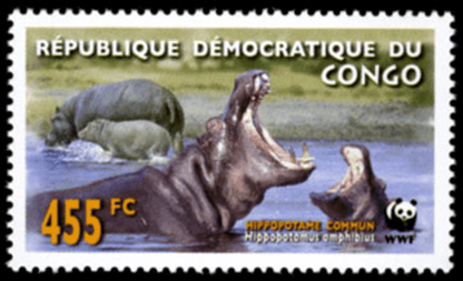 WWF , Hippo