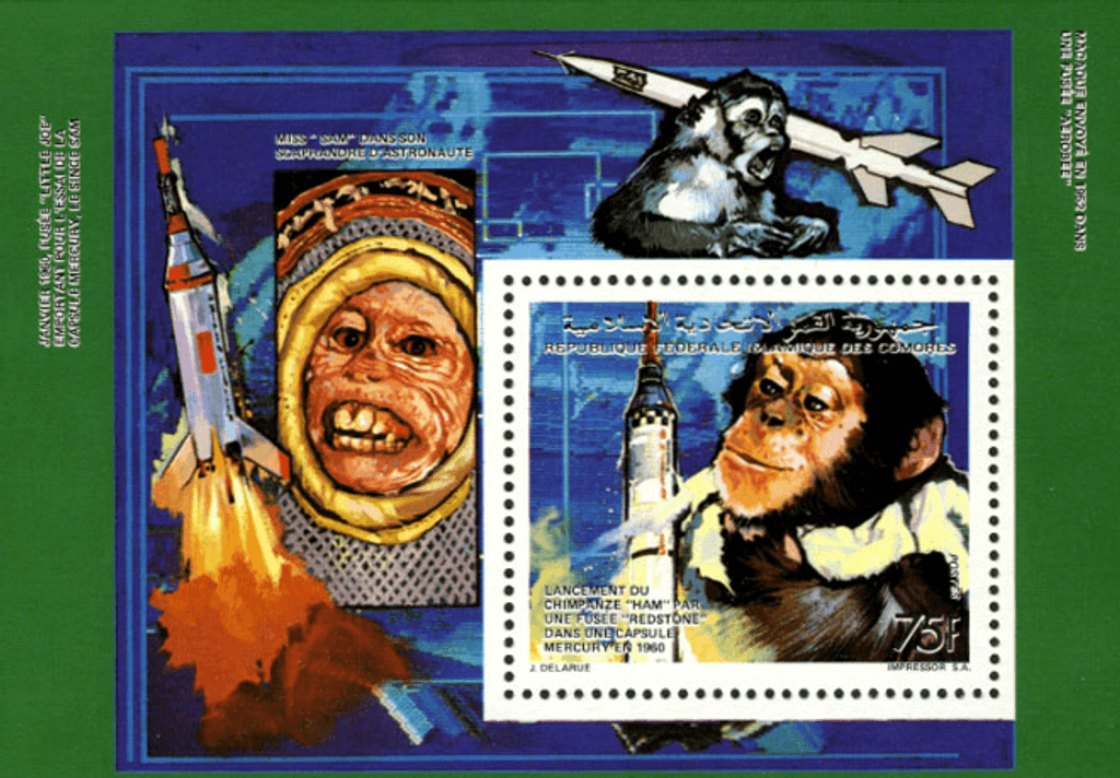 Space & animals