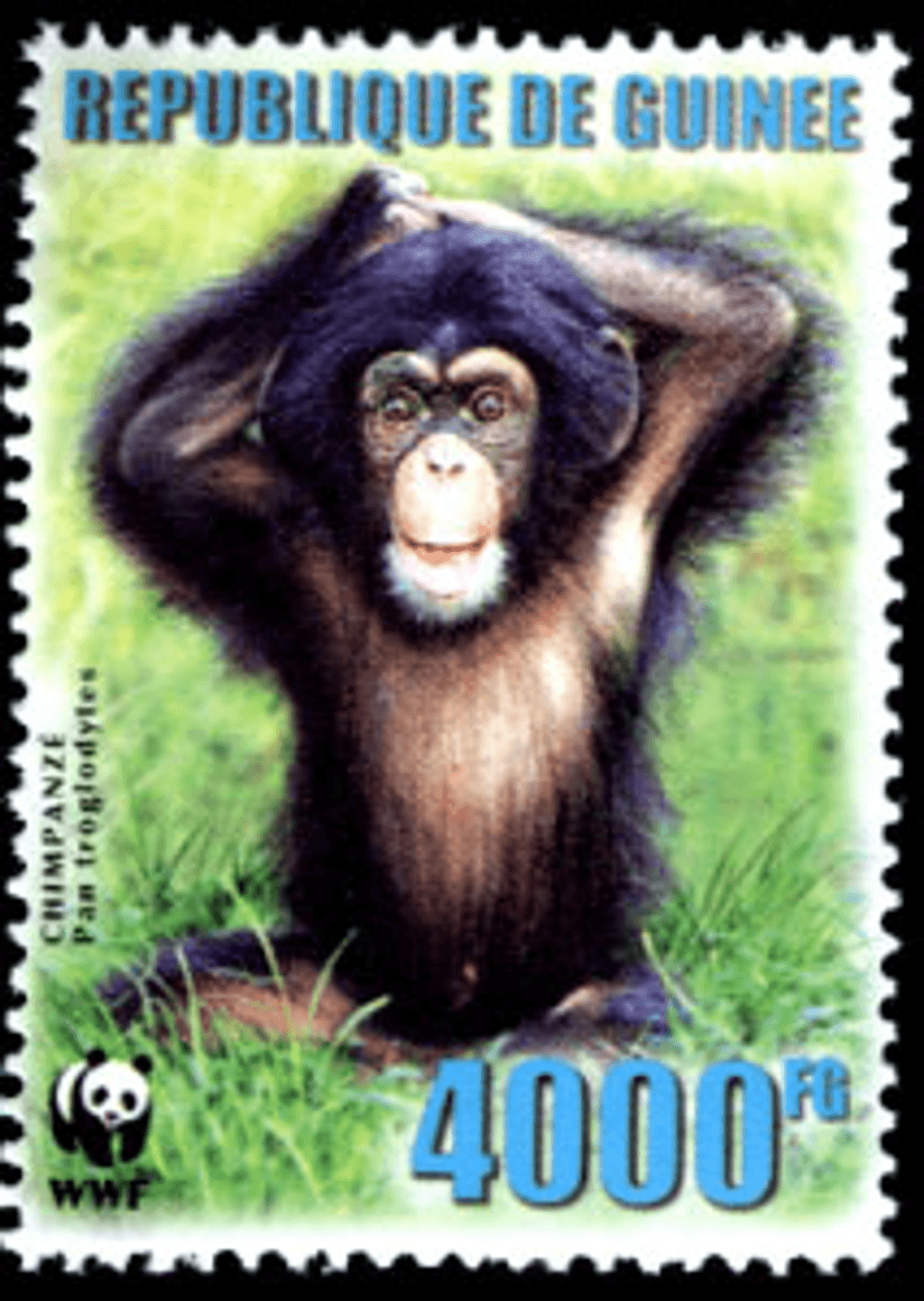 Singes (Chimpanzé WWF)