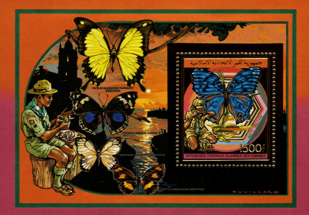 Scouting : Butterflies and Birds Gold
