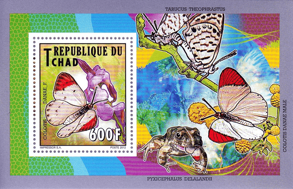 Native Butterflies 2012