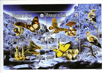 Minerals & Butterflies