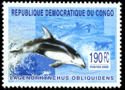 Marine Animals
