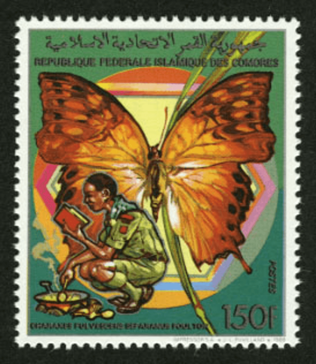 Scouting: Butterflies and Birds