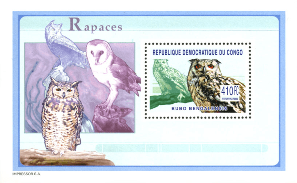 Raptors & Owls