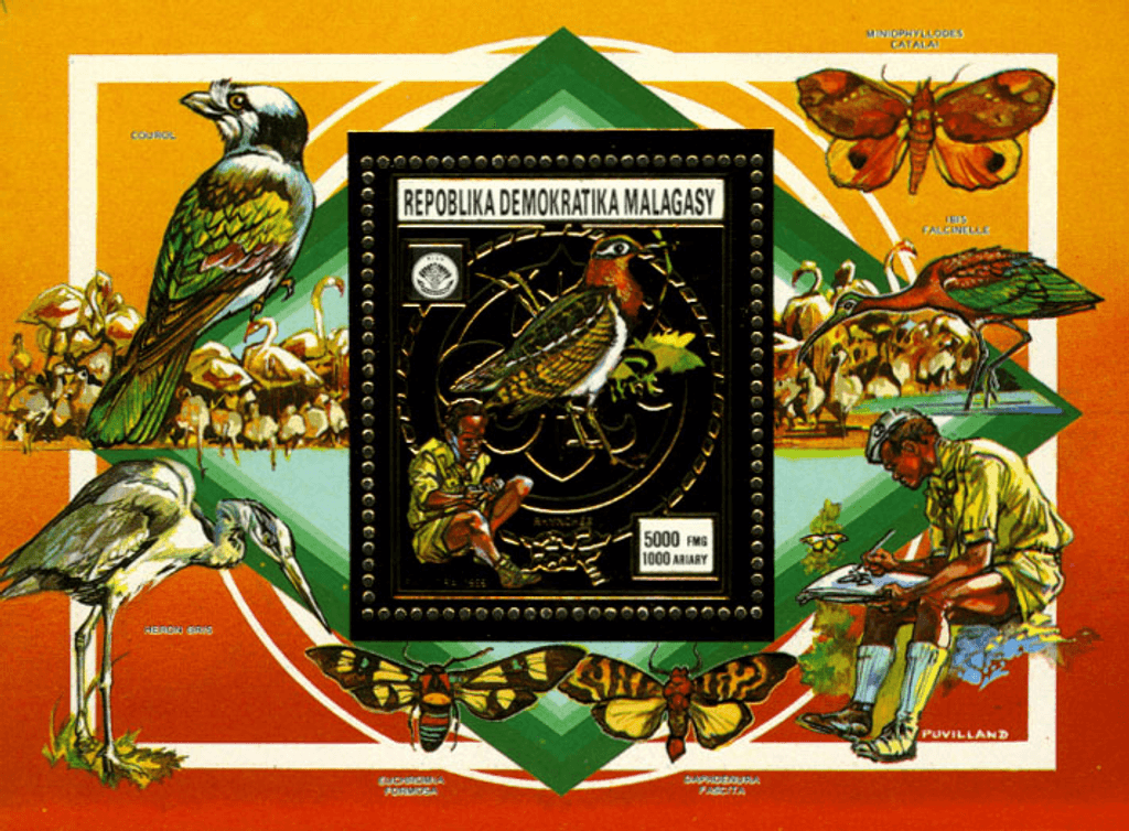 Fauna & scouting Gold issue