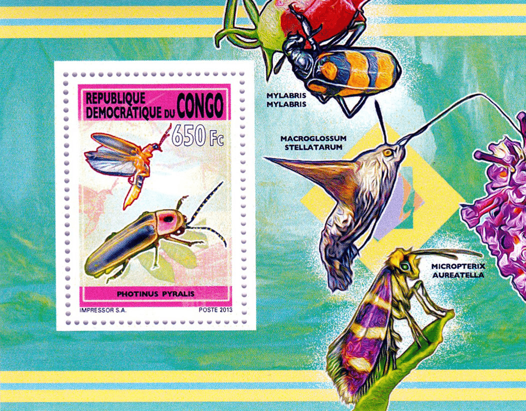 Insect 2012