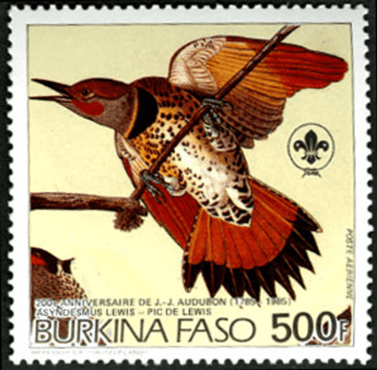 Birds from "JJ Audubon"