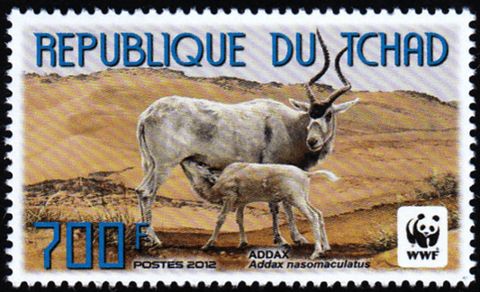 World Wild Nature Antelope 2012