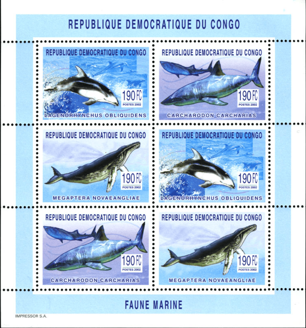 Marine Animals