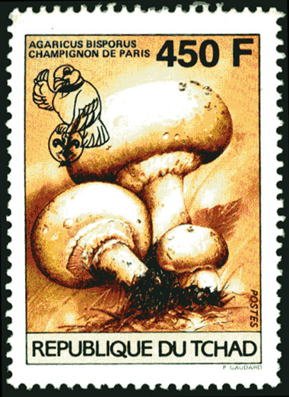 18 th Jamborée Netherland /Mushrooms