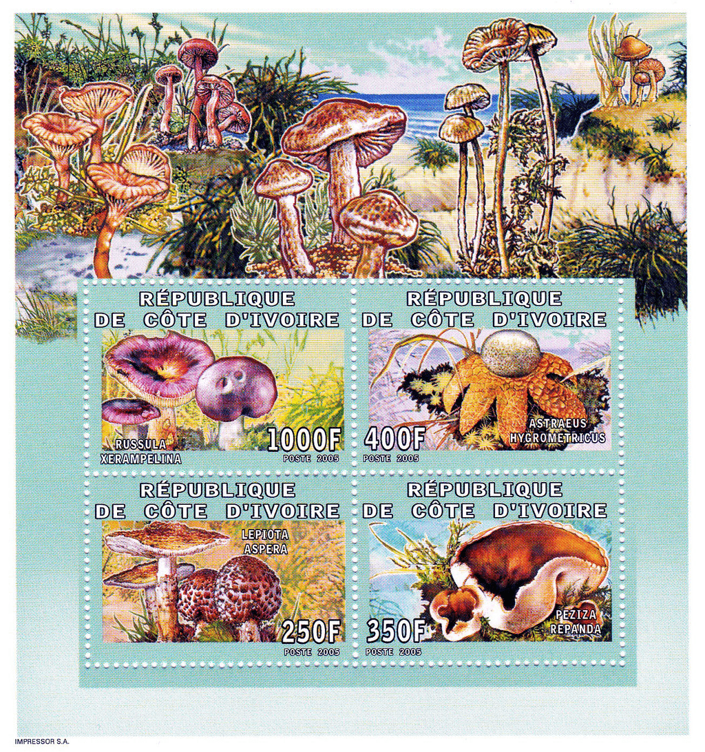 Mushrooms  2005