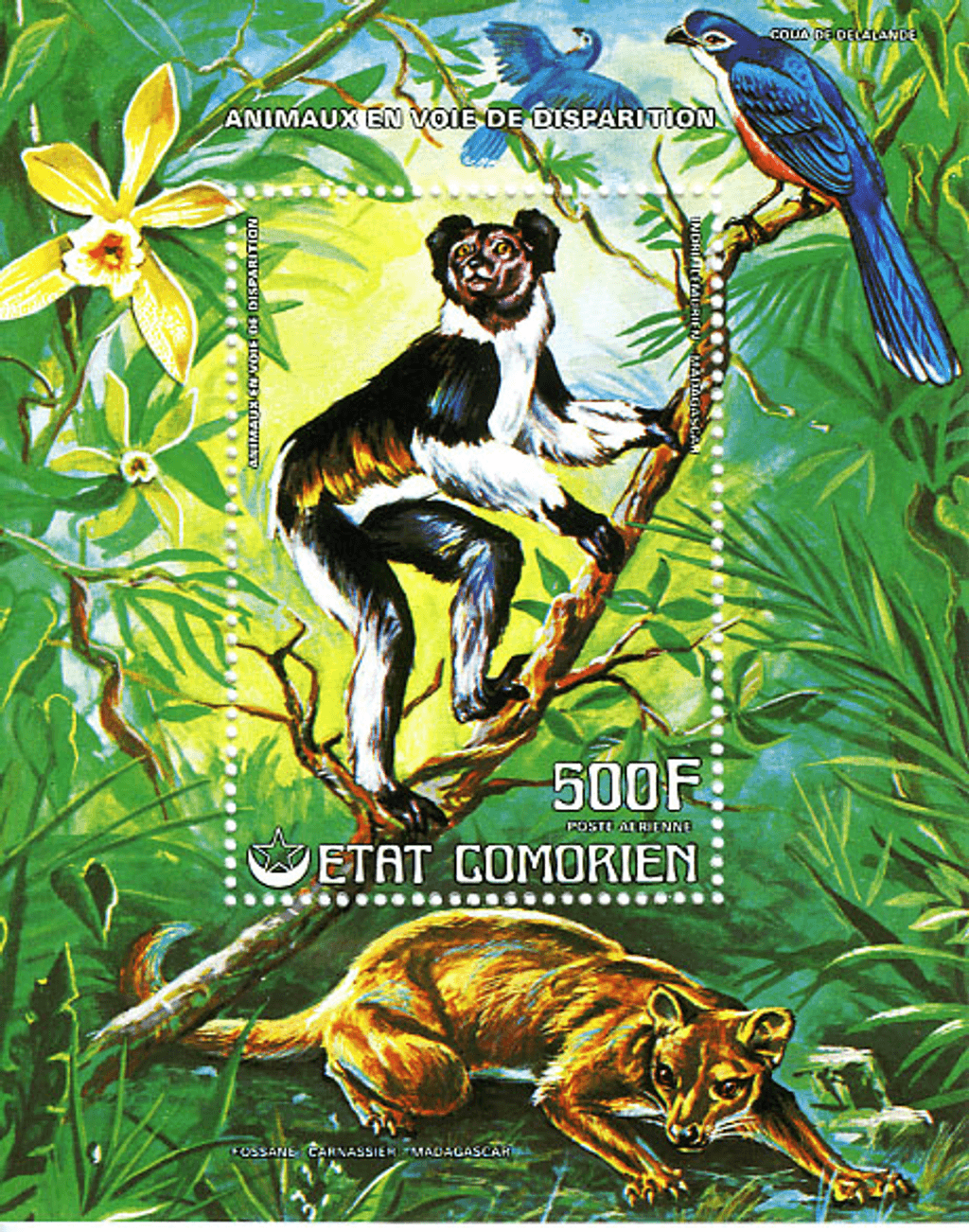 Endangered Animals