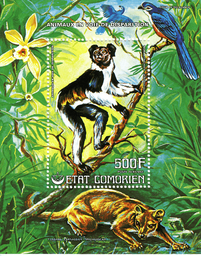 Endangered Animals