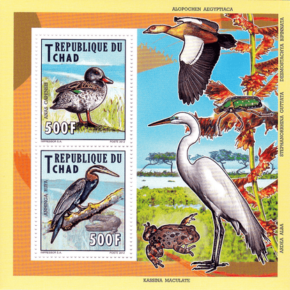 Native Bird 2012
