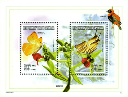 Natural: insects, mushrooms, minerals  1998