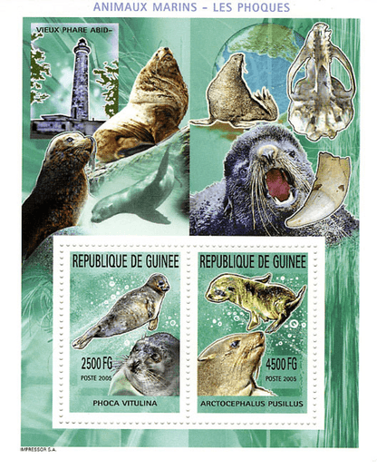 Marine Animals (820)