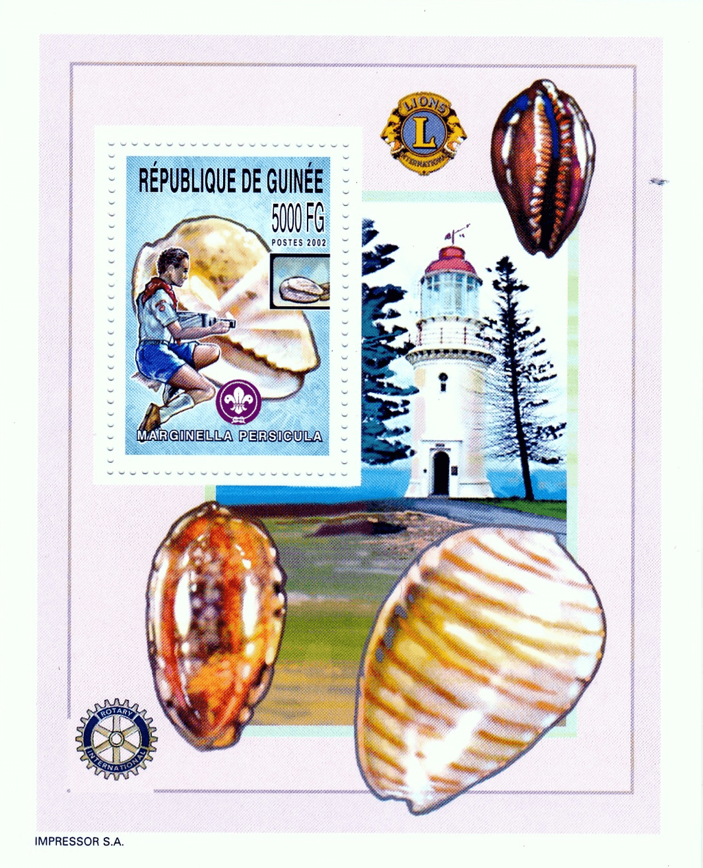 Boy Scout and Sea Snails  2002