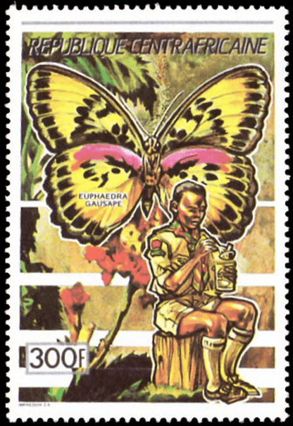 Pathfinder movement: butterflies  1990
