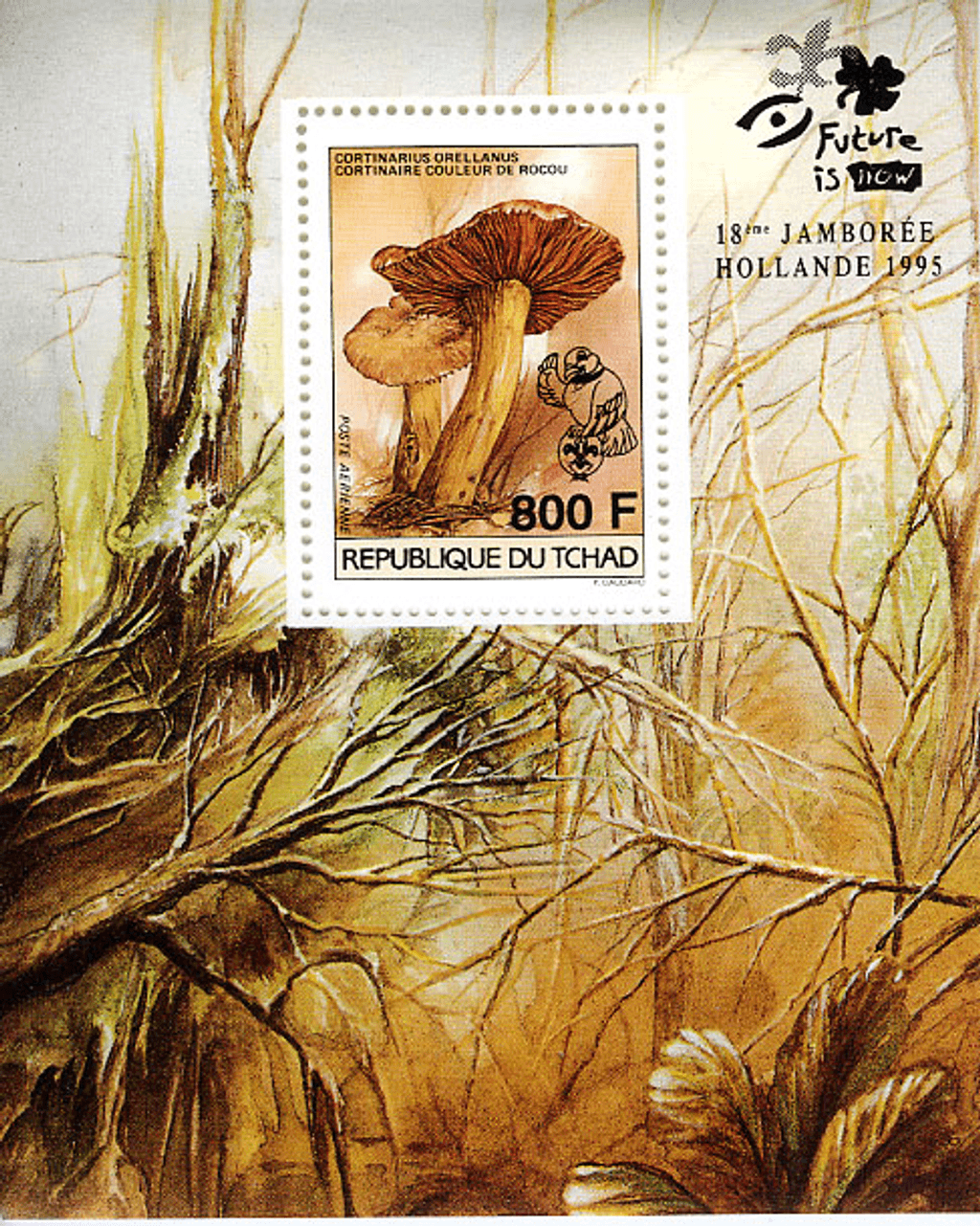 18 th Jamborée Netherland /Mushrooms