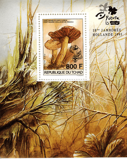 18 th Jamborée Netherland /Mushrooms