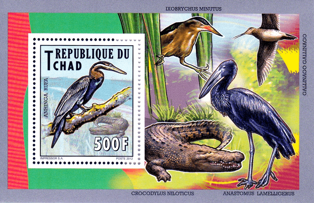 Native Bird 2012