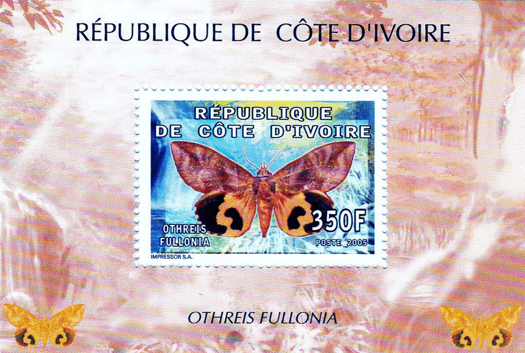 Butterflies  2005