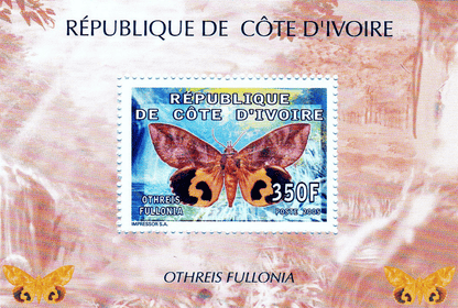 Butterflies  2005