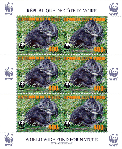 Worldwide Conservation 2005  (Otters)