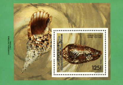 Shells