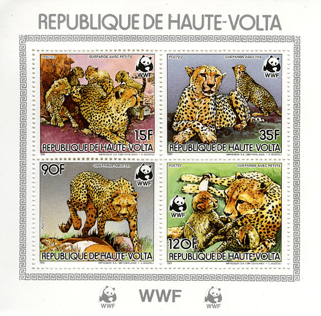 Haute Volta , Animals /Cheetah