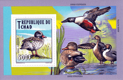 Native Bird 2012