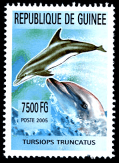 Marine Animals (820)