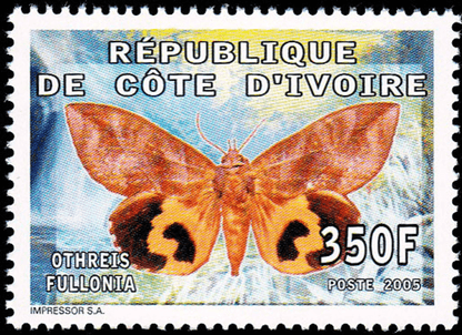 Butterflies  2005