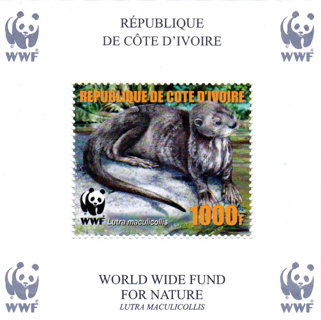Worldwide Conservation 2005  (Otters)