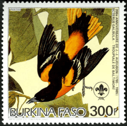 Birds from "JJ Audubon"