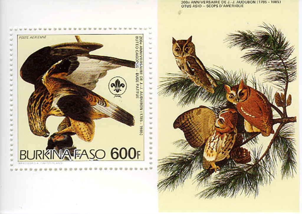 Birds from "JJ Audubon"