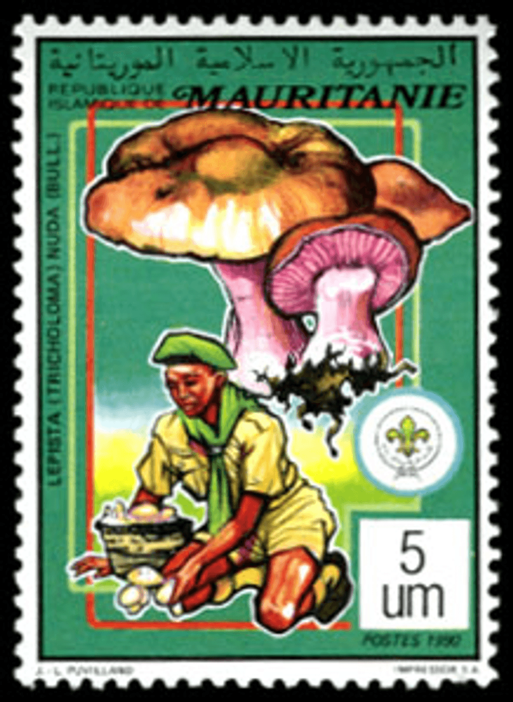 Scouting & Mushrooms