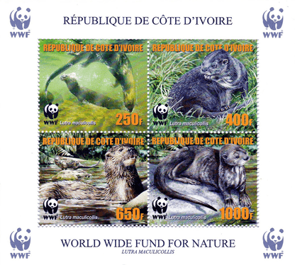 Worldwide Conservation 2005  (Otters)